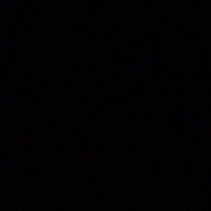 Meet your Posher, Jake